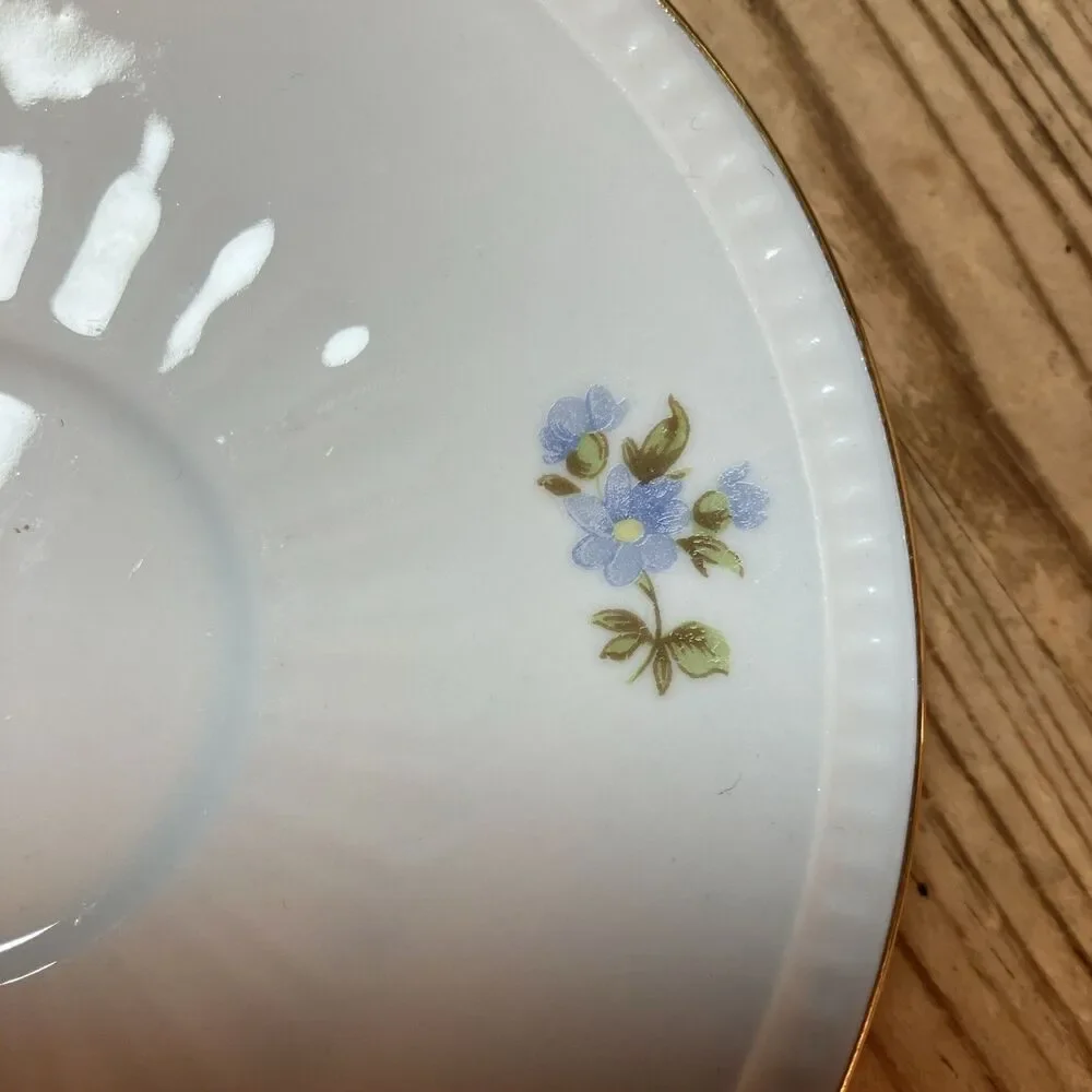Vintage Bareuther Waldsassen Bavaria Germany Porcelain Tea cup saucer Flower 103